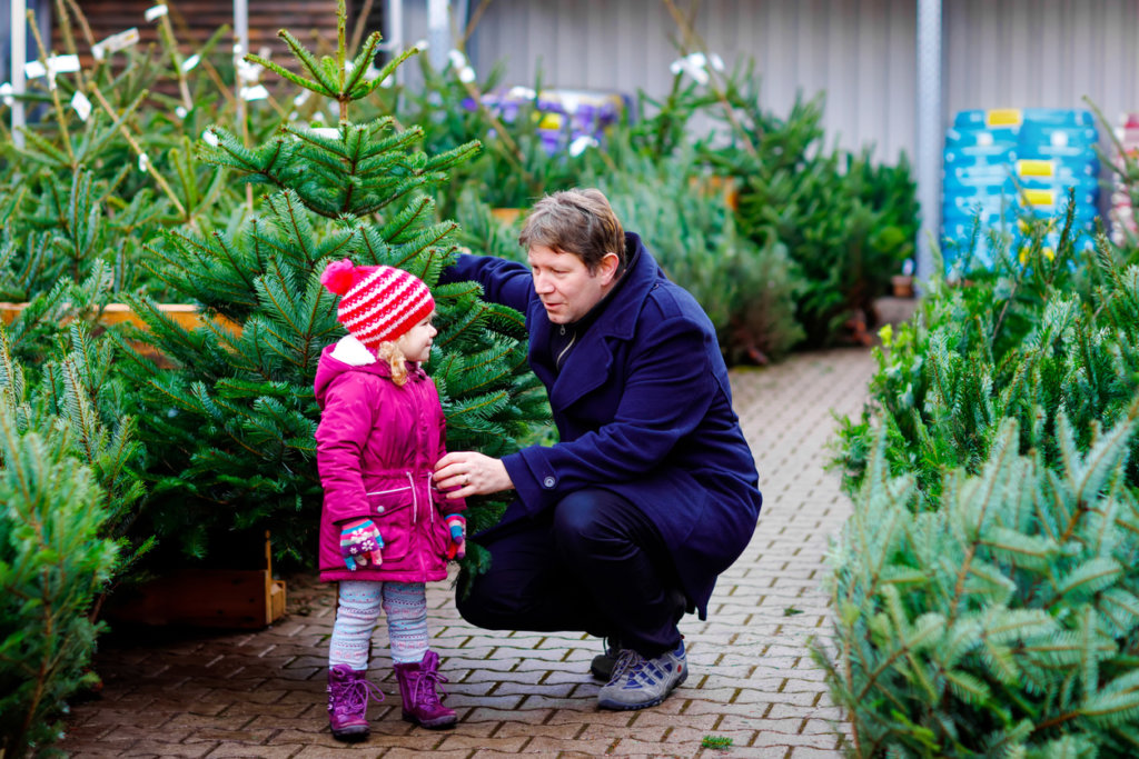Stand de sapins